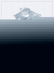CС